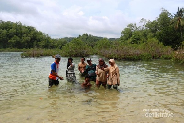 Ssst Ada Pantai Perawan Untuk Berenang Di Pacitan