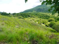 Pemandangan indah pantai dari ketinggian bisa traveler lihat dari puncak bukit. Bukit hijau ini tingginya sekitar 30 meter. Selama mendaki tentunya harus tetap menjaga kebersihan sekitar, jangan buang bekas wadah minum atau sampah lain sembarangan (Kurnia/detikTravel)