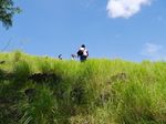 Melihat Indahnya Pantai di Alor dari Ketinggian