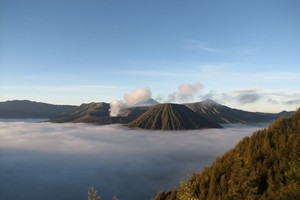 Imbauan Bagi Wisatawan yang Mau Ke Bromo Dalam Waktu Dekat