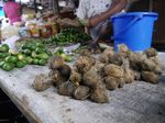 Buah Pinang, Rahasia Gigi Kuat Orang Alor
