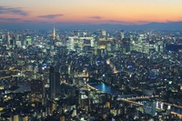 Begini indahnya lanskap Kota Tokyo yang dilihat dari Tokyo Skytree. Sayang untuk dilewatkan! (Ari Saputra/detikTravel)