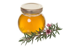 Mampir ke Auckland, Jangan Lupa Beli Madu Manuka!