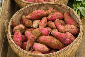 Ubi Jalar yang Empuk Legit Masuk Daftar Superfood, Ini Alasannya