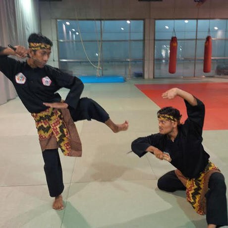 Pencak Silat Diharapkan Jadi Dipertandingkan di Asian Games 2018