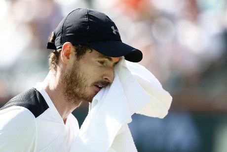 Murray Disingkirkan Petenis Nonunggulan