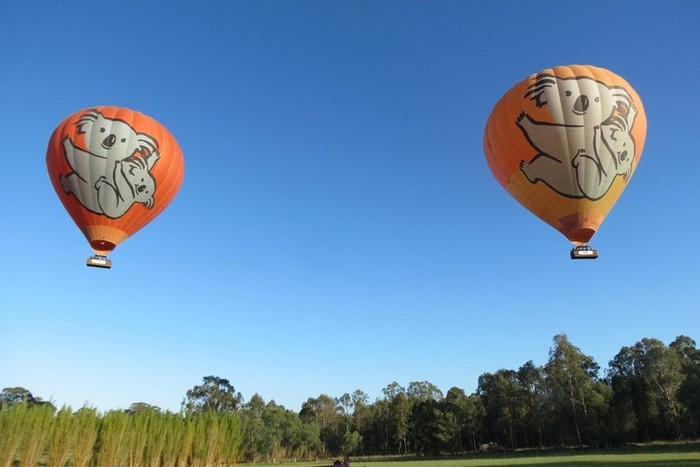 Catat! 5 Tips Naik Balon Udara di Australia