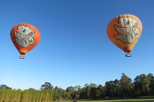 Catat! 5 Tips Naik Balon Udara di Australia