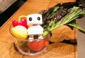 Alat Berisi Bubuk Alami Ini Bisa Kurangi Limbah Sayur dan Buah