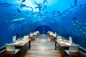 Restoran Bawah Laut Terbesar Akan Buka di Maladewa Tahun Ini