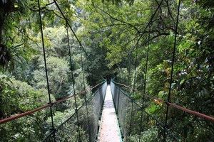 Pemandangan Indah dari Canopy Trail Cilawen