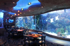 Asyiknya Menikmati Sajian Seafood Mewah di Restoran Bawah Laut Dunia (1)