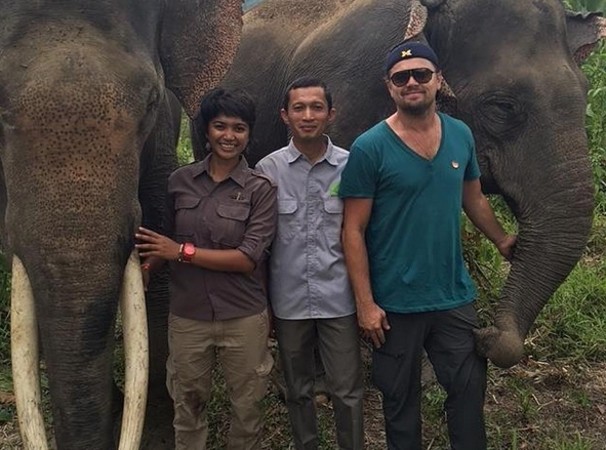 Foto Bareng Gajah Sumatera Seperti Leonardo Dicaprio