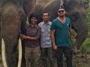 Foto Bareng Gajah Sumatera Seperti Leonardo Dicaprio
