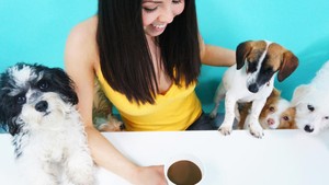 Ini Kafe Khusus untuk Adopsi Anjing yang Pertama Ada di Los Angeles