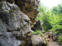 Setelah berjalan sekitar 10 menit dari dermaga Kampung Berua, wisatawan bisa menemukan Batu Kingkong. Dinamakan seperti itu karena batu tersebut menonjol seperti wajah kingkong (Kurnia/detikTravel)