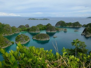 Belajar dari Tragedi Turis Rusia Tewas Diserang Buaya Raja Ampat