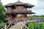 Hijaunya Hutan Mangrove di Utara Jakarta