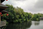 Hijaunya Hutan Mangrove di Utara Jakarta