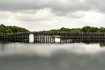 Hijaunya Hutan Mangrove di Utara Jakarta