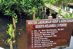 Hijaunya Hutan Mangrove di Utara Jakarta