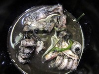 Meski berwarna hitam legam, cumi hitam terasa gurih empuk tanpa jejak aroma dan rasa amis. Enak!