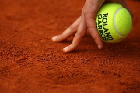 Zebra-Zebra di Prancis Terbuka