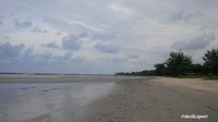 Ini adalah sebuah sisi Pantai Pasir Padi yang terletak tak jauh dari sirkuit MXGP di Pangkalpinang. Garis pantai yang panjang ini merupakan salah satu tempat favorit warga Pangkalpinang.