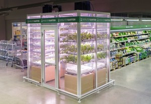 Di Dalam Supermarket Ini Ada Kotak Khusus untuk Menanam Sayuran