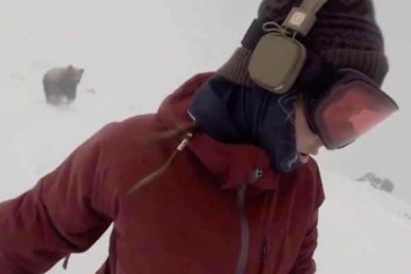 Asyik Nyanyi Rihanna, Turis Ini Tak Sadar Dikejar Beruang