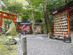 Hutan Bambu Favorit Turis di Jepang