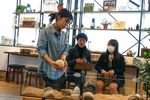 Aww, Lucunya Main Bareng Landak Mini di Kafe Jepang