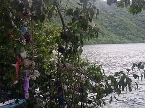 Kisah Pohon Keramat di Tepi Danau Satonda, Sumbawa