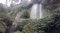 Air terjun yang sedikit berbeda karena diwarnai dengan pepohonan menjuntai ke bawah. Inilah yang membuat air terjun ini dinamakan Benang Kelambu (Yudhistira/detikTravel)