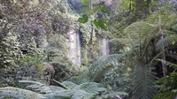Air terjun ini berada di Geopark Rinjani, Desa Aik Bukaq, Kecamatan Batukliang Utara, Lombok Tengah. Jika dari pusat kota, perjalanan akan memakan waktu sekitar 3 jam (Yudhistira/detikTravel)