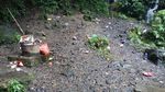 Menyibak Indahnya Air Terjun Benang Kelambu di Lombok