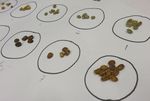 Belajar Mengenal Teknik Roasting Dalam Indonesian Coffee Class