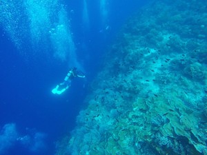 Bunaken, Menyelam di Sekeping Surga yang Jatuh di Manado