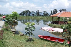 Destinasi Baru di Banyuwangi: Waduk Sidodadi Glenmore