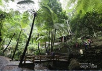 Suasana di sekitar air terjun Suasana di sekitar air terjun