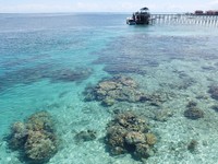Kepulauan Derawan masuk dalam Kabupaten Berau, Kalimantan Timur. Pantai, lautan dan dunia bawah lautnya layak masuk daftar sebagai surga Indonesia (Afif/detikTravel)