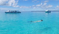 Kepulauan Derawan punya 5 pulau besar, yakni Pulau Derawan, Maratua, Samama, Sangalaki dan Kakaban. Di semua pulau itu, air laut di dekat pantainya super jernih! (Afif/detikTravel)