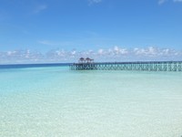 Ini merupakan dermaga di Pulau Maratua. Dermaga kayu dan penginapan di pinggir pantai di sana disebut-sebut mirip seperti di Maladewa (Afif/detikTravel)