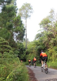 Para peserta memasuki hutan di Pulau Samosir.