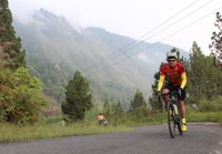 Menggowes di antara pepohonan pinus dalam cuaca pagi yang cerah dan sejuk.