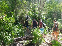Sebelum tiba di Haji Mangku, traveler harus trekking lebih dulu sekitar 5 menit. Masuk ke dalam hutan dan melewati tanah yang dipenuhi banyak pecahan batu karang. Gunakan alas kaki ya (Afif/detikTravel)