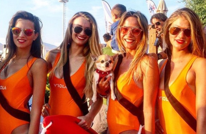 Anjing Ini Mungkin Traveling Lebih Sering Dibanding Kamu