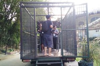 Traveler tidak perlu takut, naik mobil ini dijamin aman. Selama bersafari malam, traveler akan ditemani seorang pemandu serta beberapa keeper satwa yang bertugas untuk memberi mereka makan (Wahyu/detikTravel)