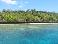 Kehe Daing tepatnya ada di bagian belakang Pulau Kakaban, atau di seberangnya Danau Kakaban yang memiliki ubur-ubur tak menyengat. Beginilah tampak bagian belakang pulaunya (Afif/detikTravel)