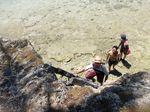 Penampakan Laguna Perawan di Derawan